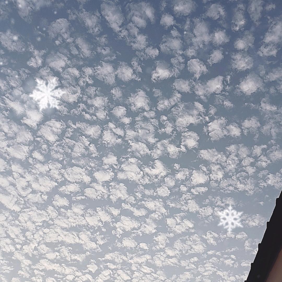 大雨