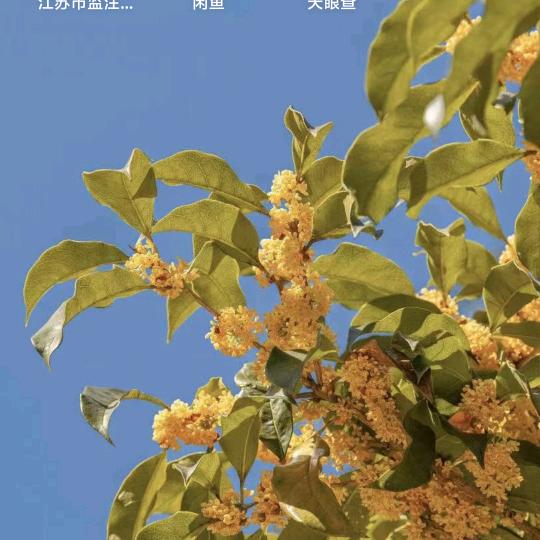 我