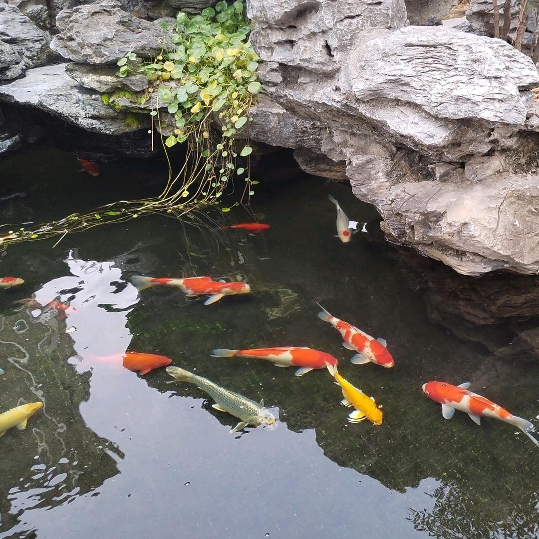 🐀专业335卷边🐀鞋面加工🐓🐁