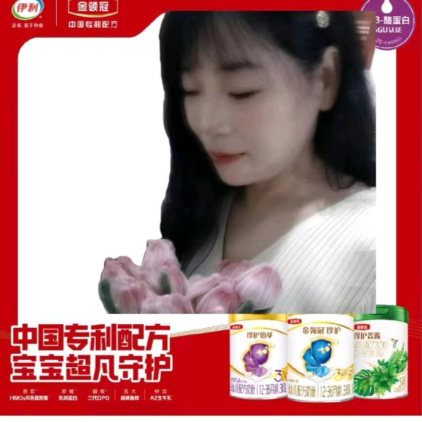 伊利奶粉推荐官洛阳大张苏会丽