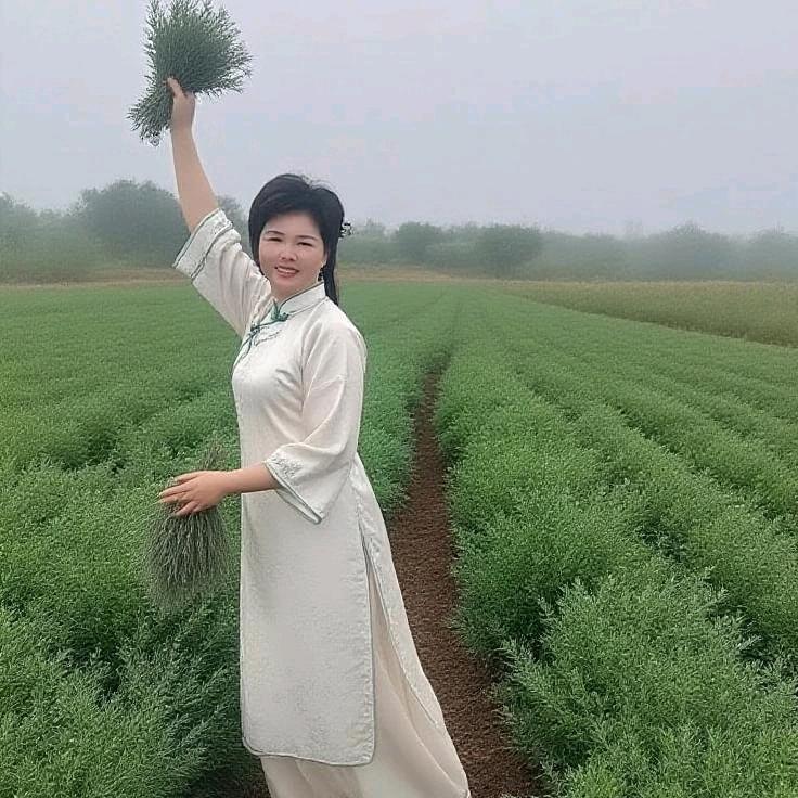 文慧，厝边-歌-肤膏