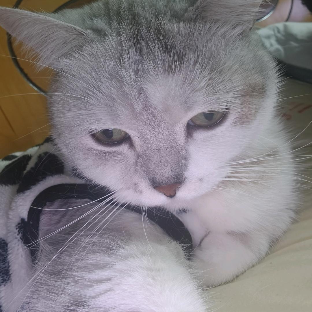 冷眸丶ʸᵒᵘ🍒