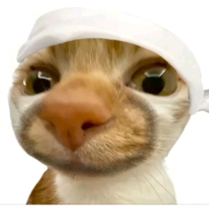 爪哇岛第一深情