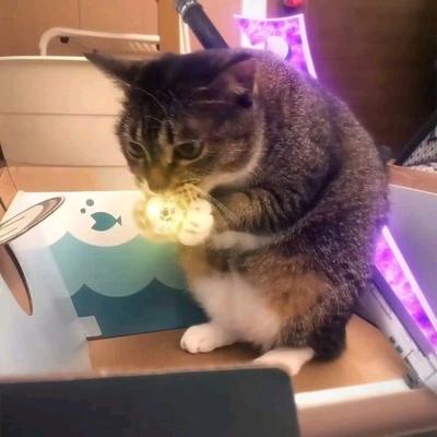 南山不会落梅花`