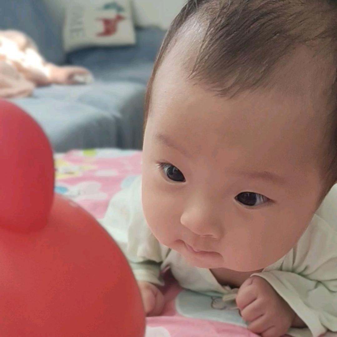 瑶瑶成长记