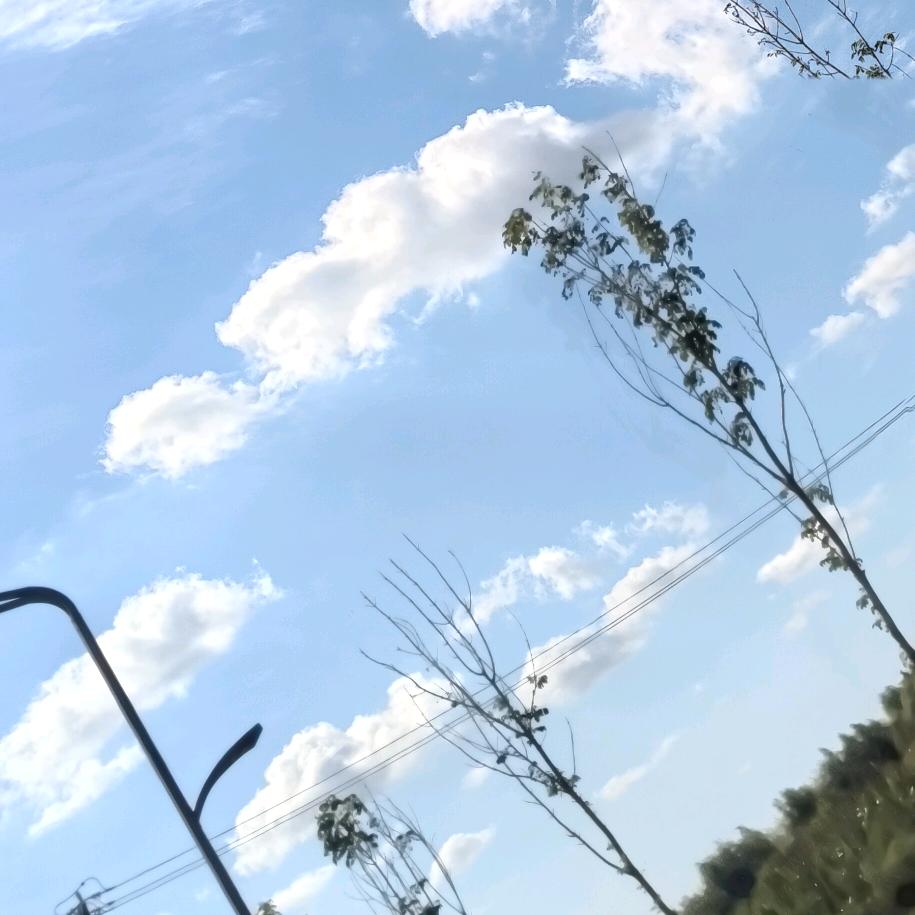 倾心相伴