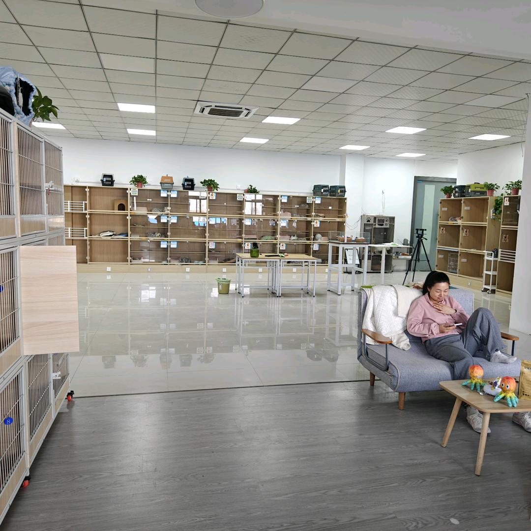 滁州宠物店基地