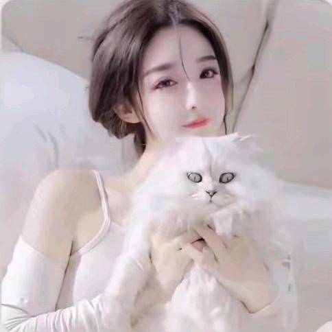 ☘小马儿