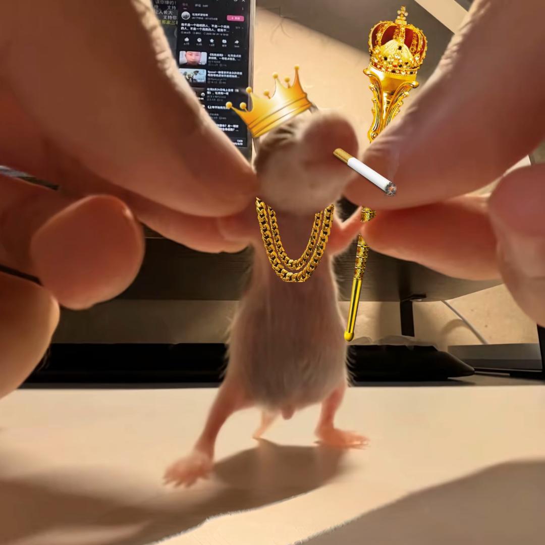 楠弦悦　　　　　　　　　　　🪳