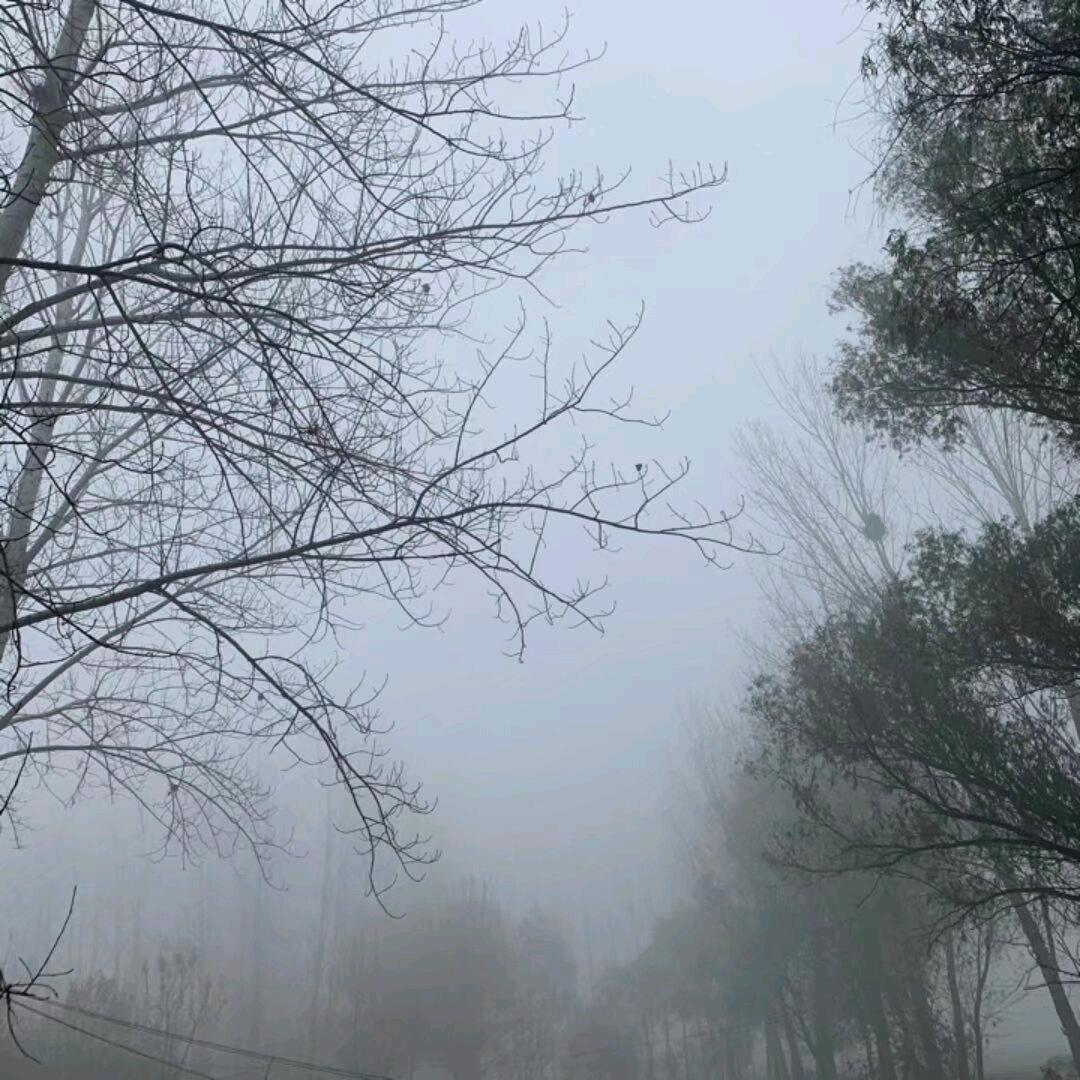 优秀¥