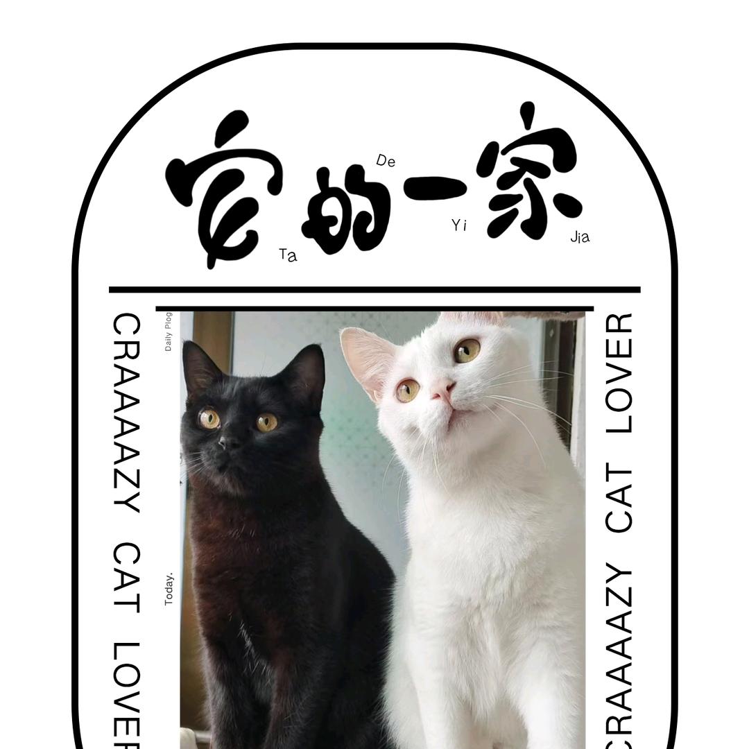 安静的傻瓜