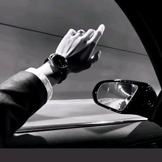 杨了个阳