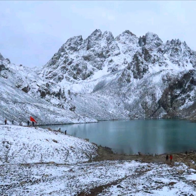 雪中飞燕