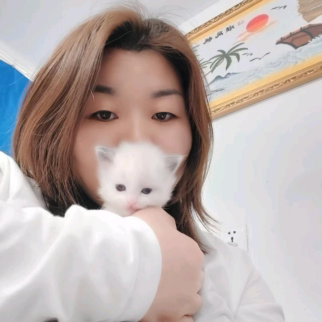 明姐宠物用品批发