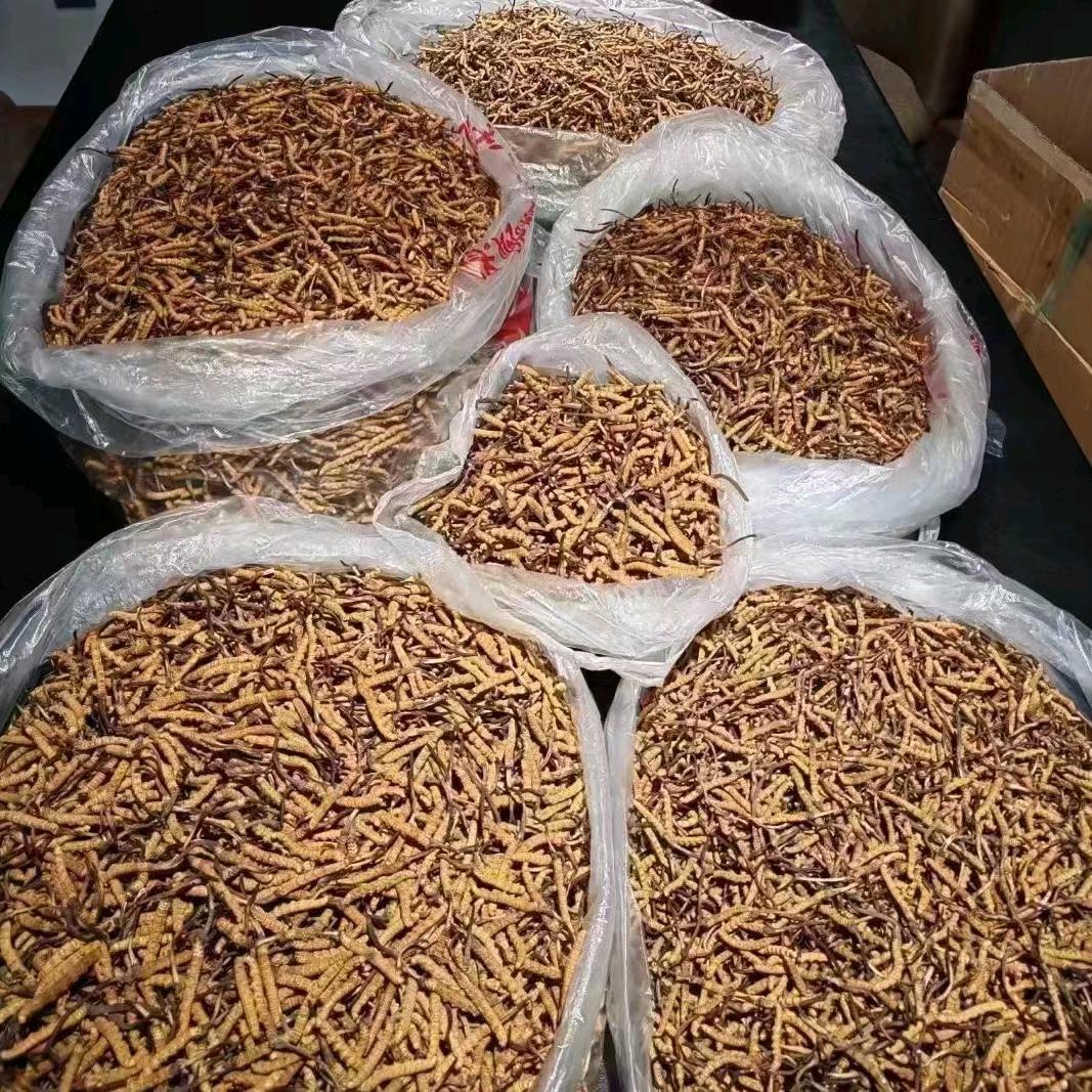 西宁市上门回收家具