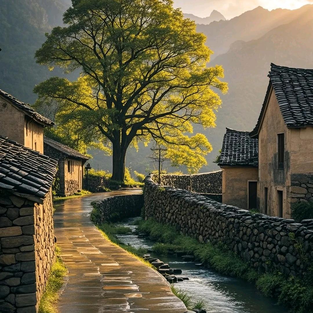 锦帛优选（橱窗有山货）