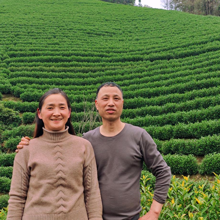 安吉塘上边茶场