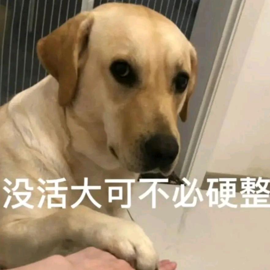 海是蓝色的