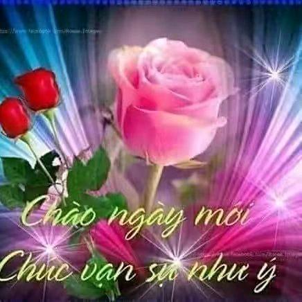 ，发给我黑色我不喊我个