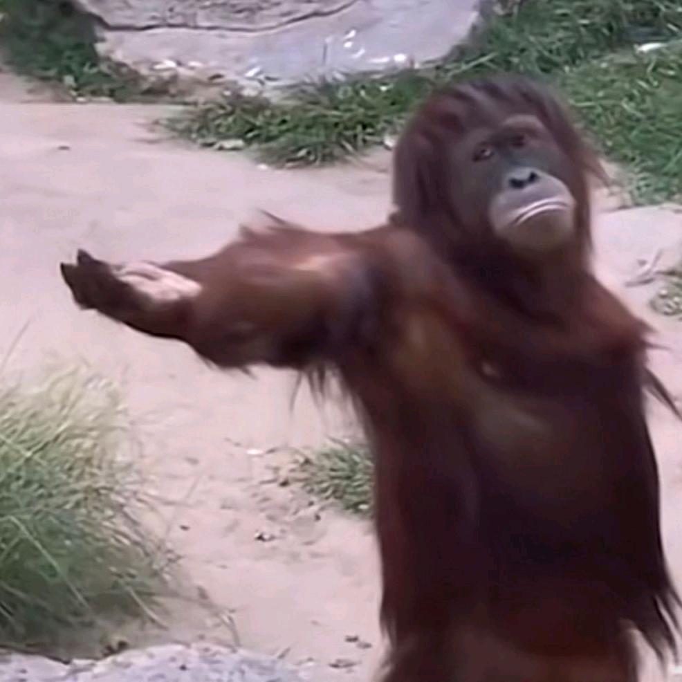 一念花开，君临天下