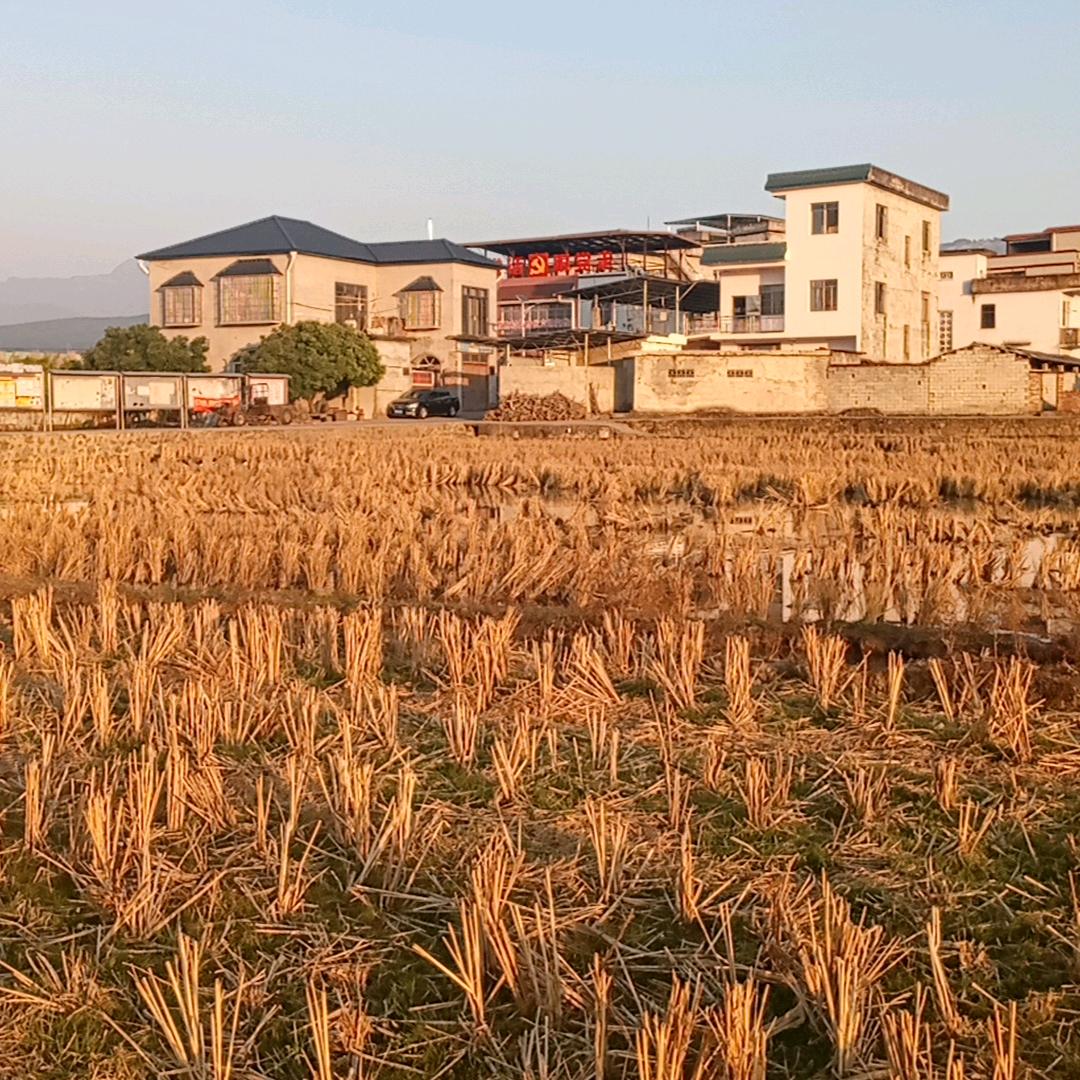 HHF小小