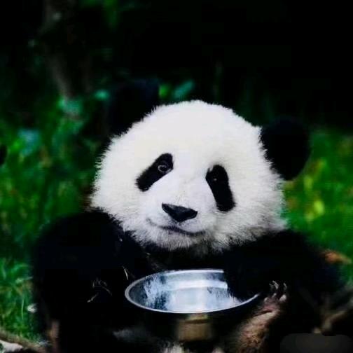 醉后的温柔