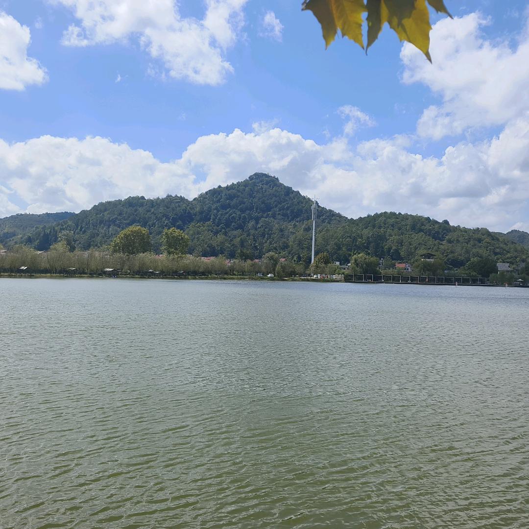 波哥甄选·全国好物