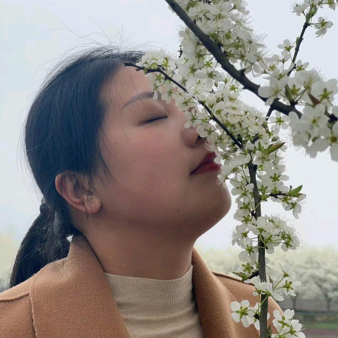 乐山d万万