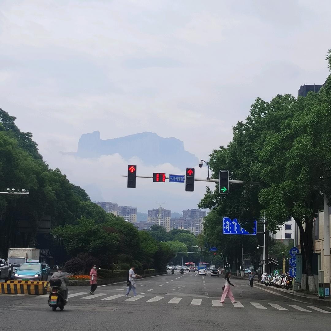 勇敢的李