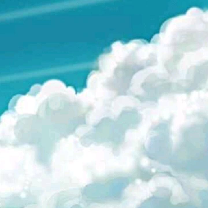 散叶兰凌