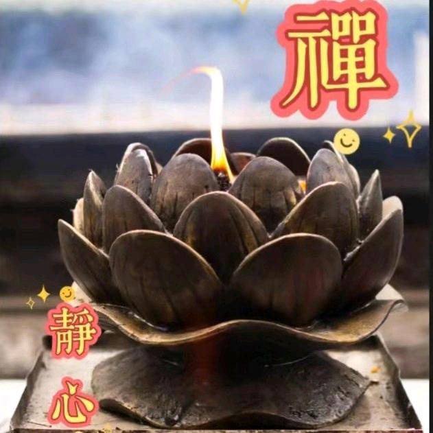 菩提树下无烦恼