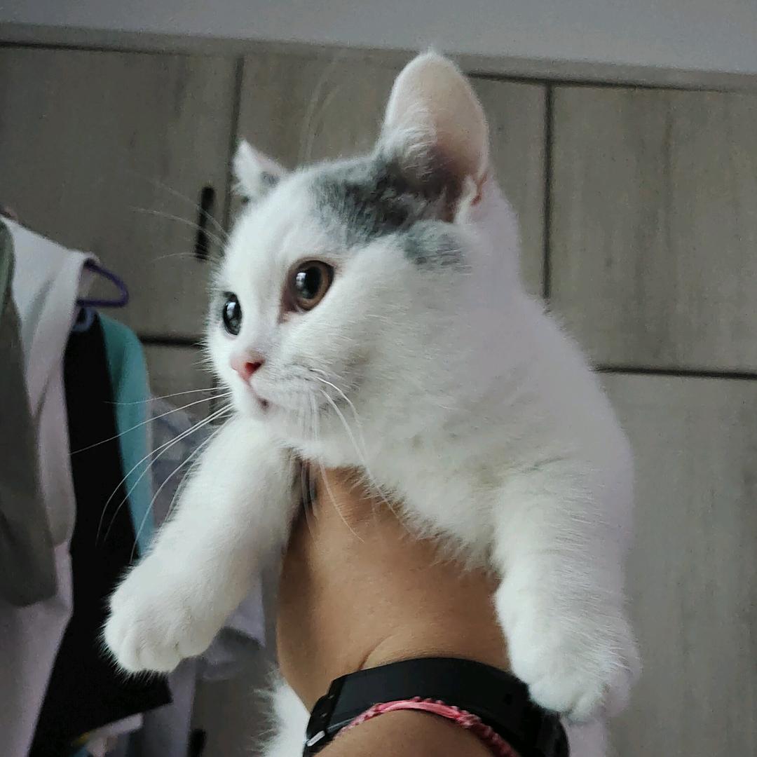 火锅