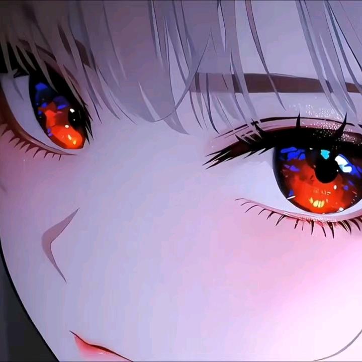 限时冬