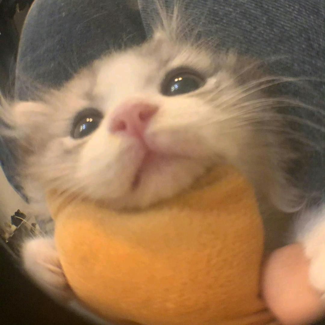郁离