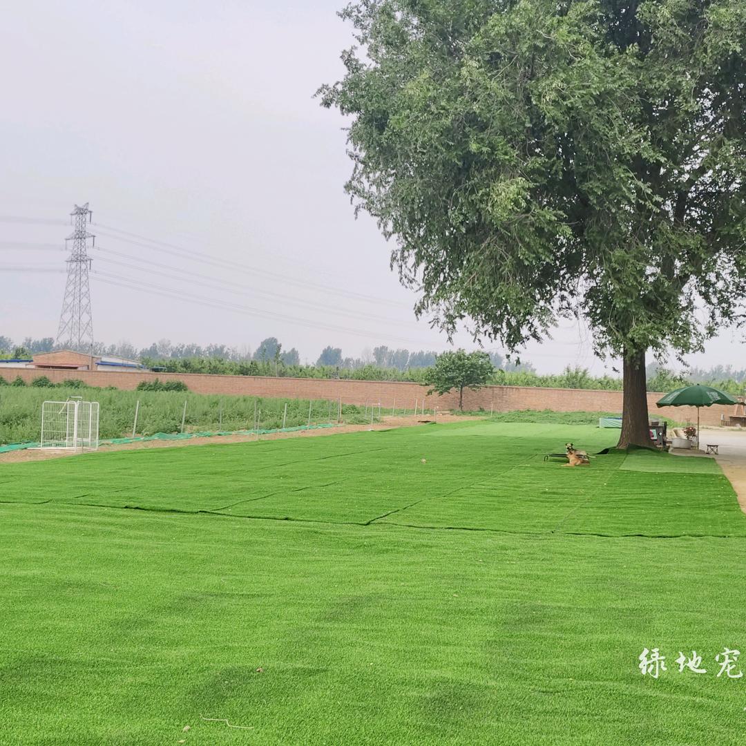 绿地宠物寄养驿站