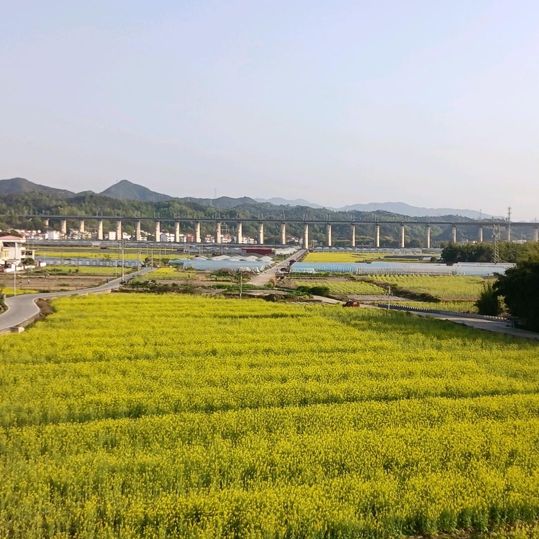 大海