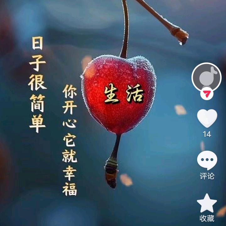 春风得意