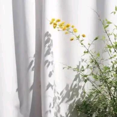 林老师