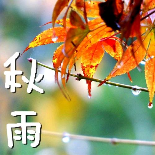 秋雨！