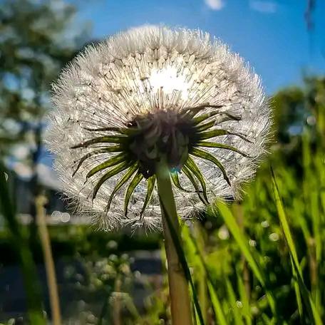 ༊ღ᭄独角戏ꦿ꯭