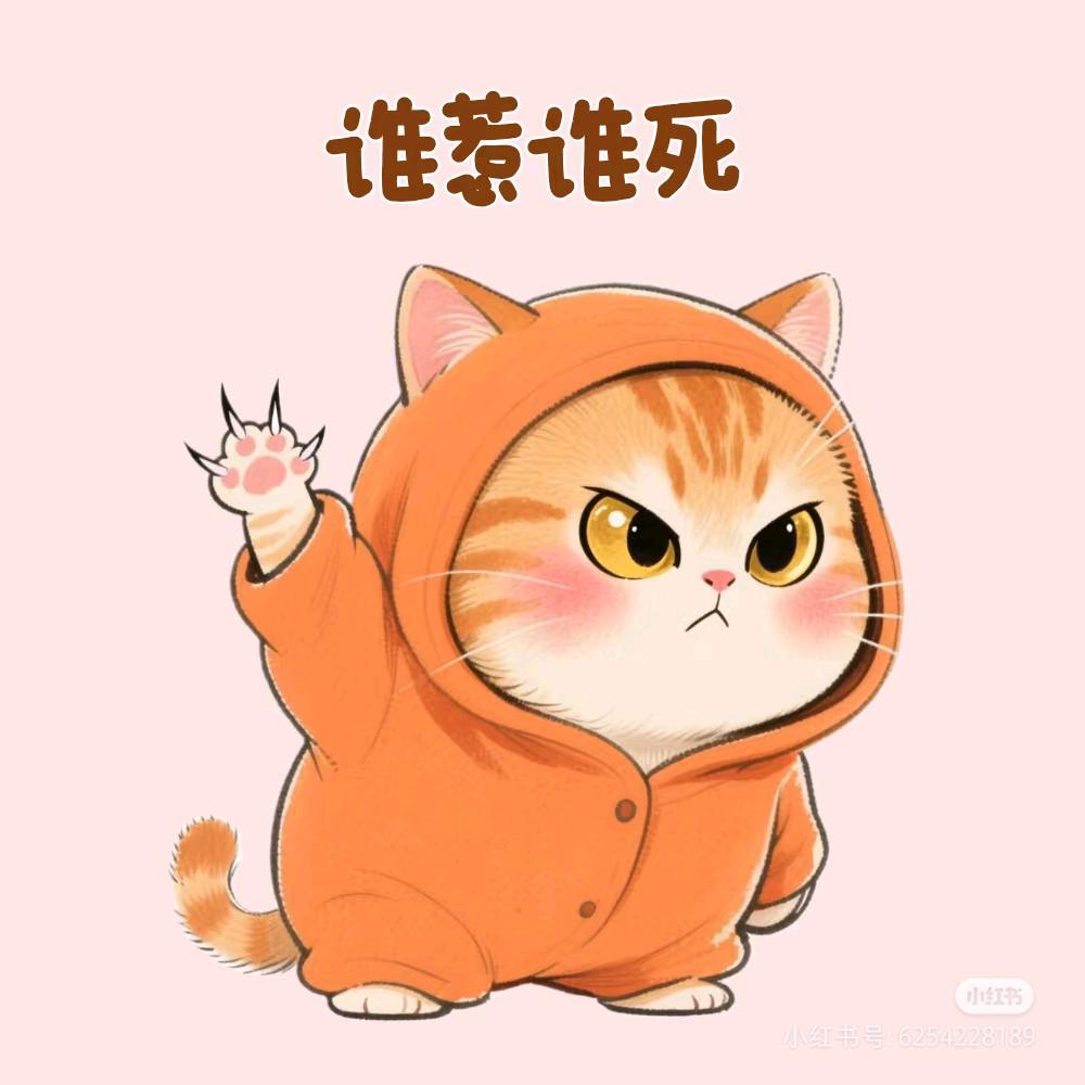 ✨小耙菜