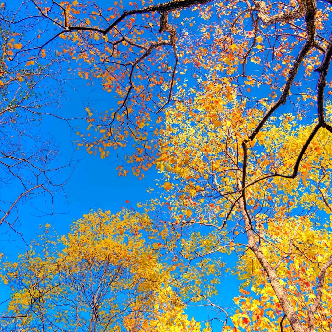 闫闫闫闫闫闫闫梅月