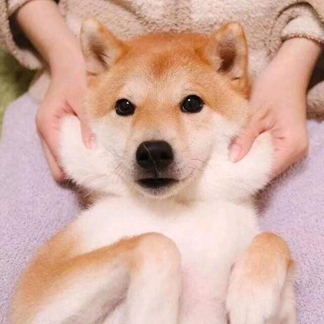 L°