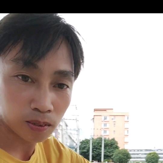 大量收购青苗姜