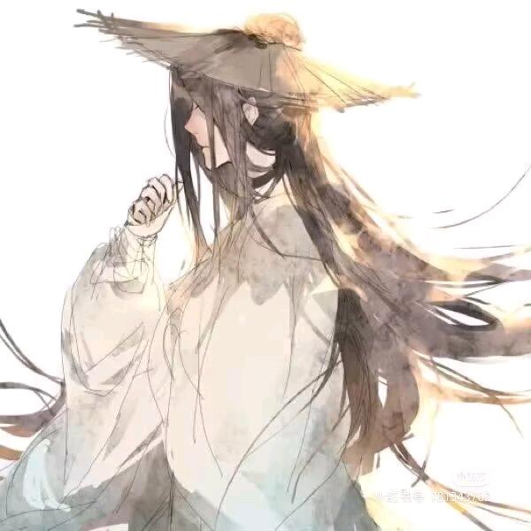 岚忘机
