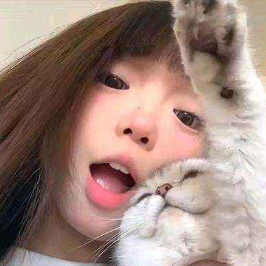 晓巧♡