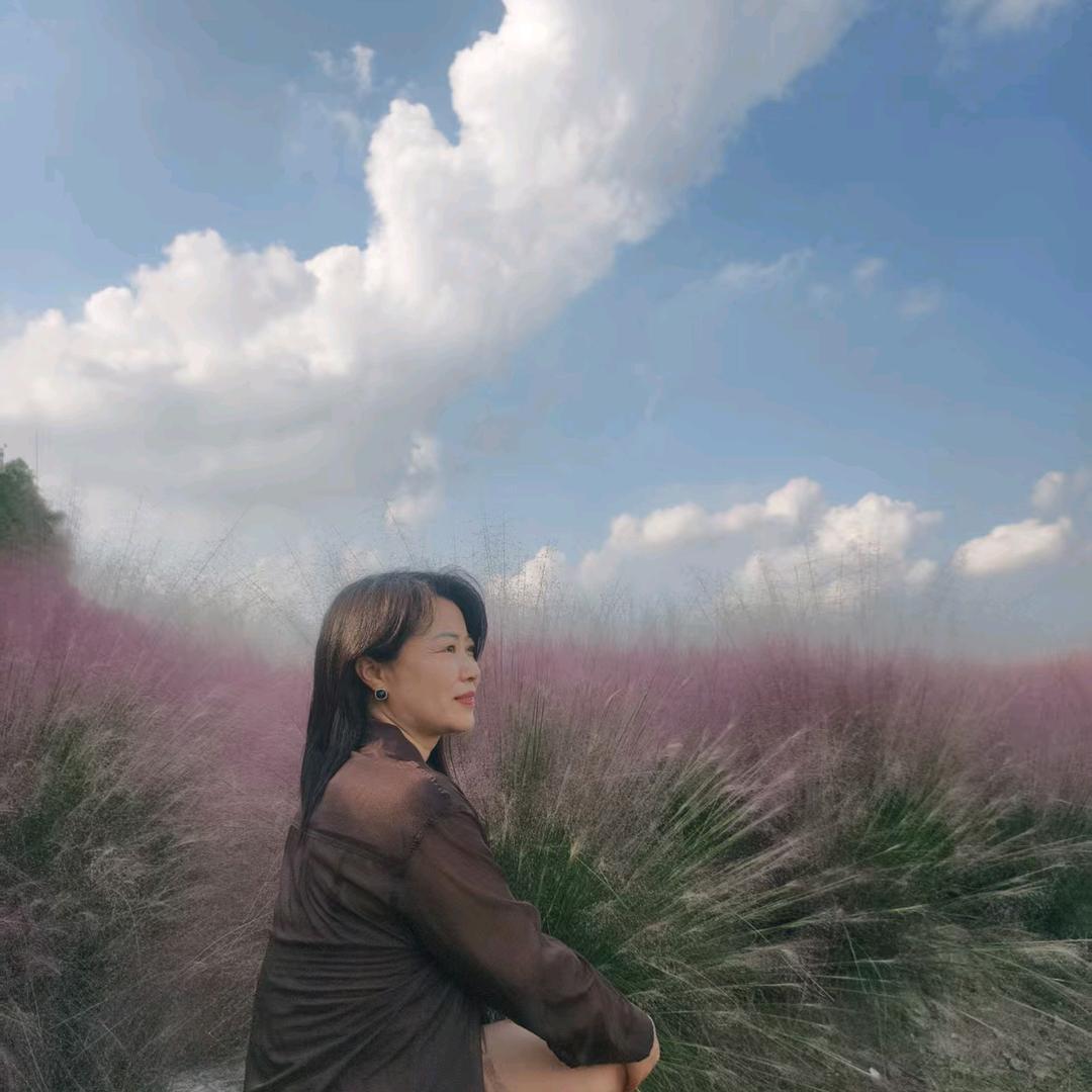 浅陌淡雅