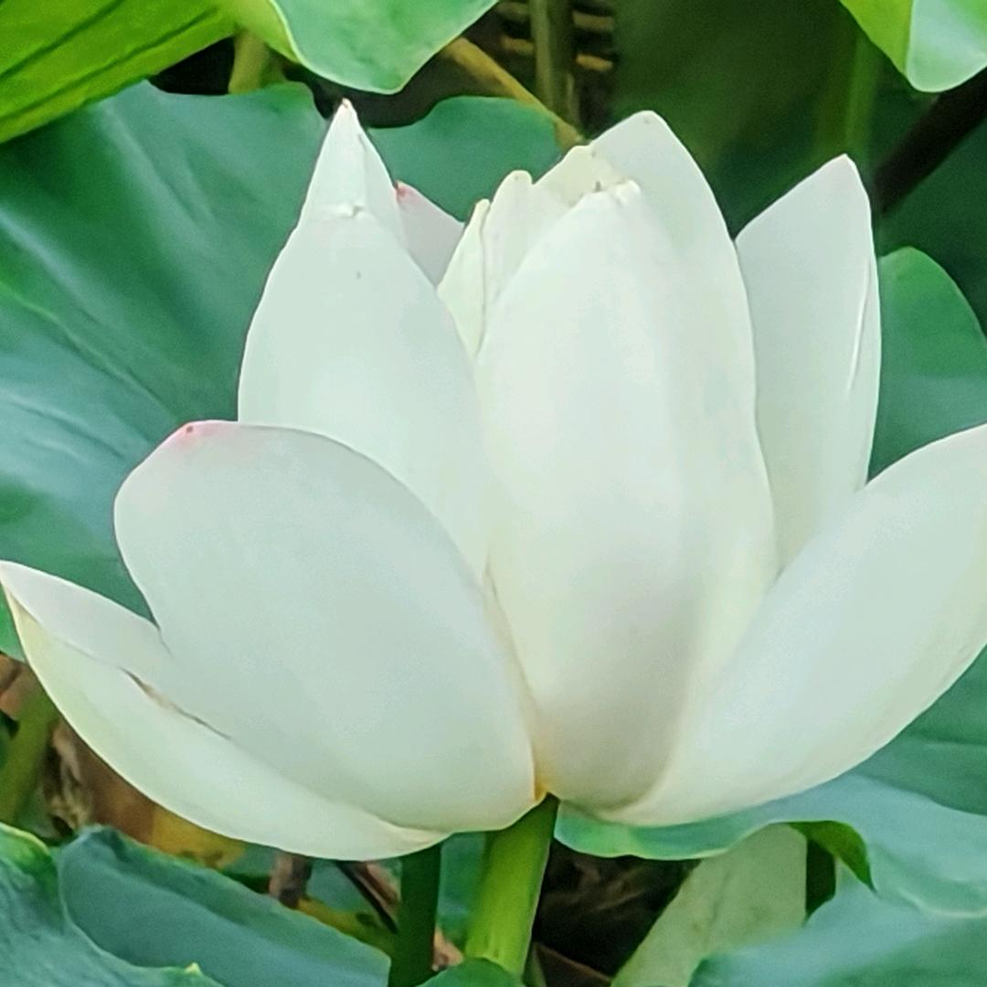 以后只相信自己