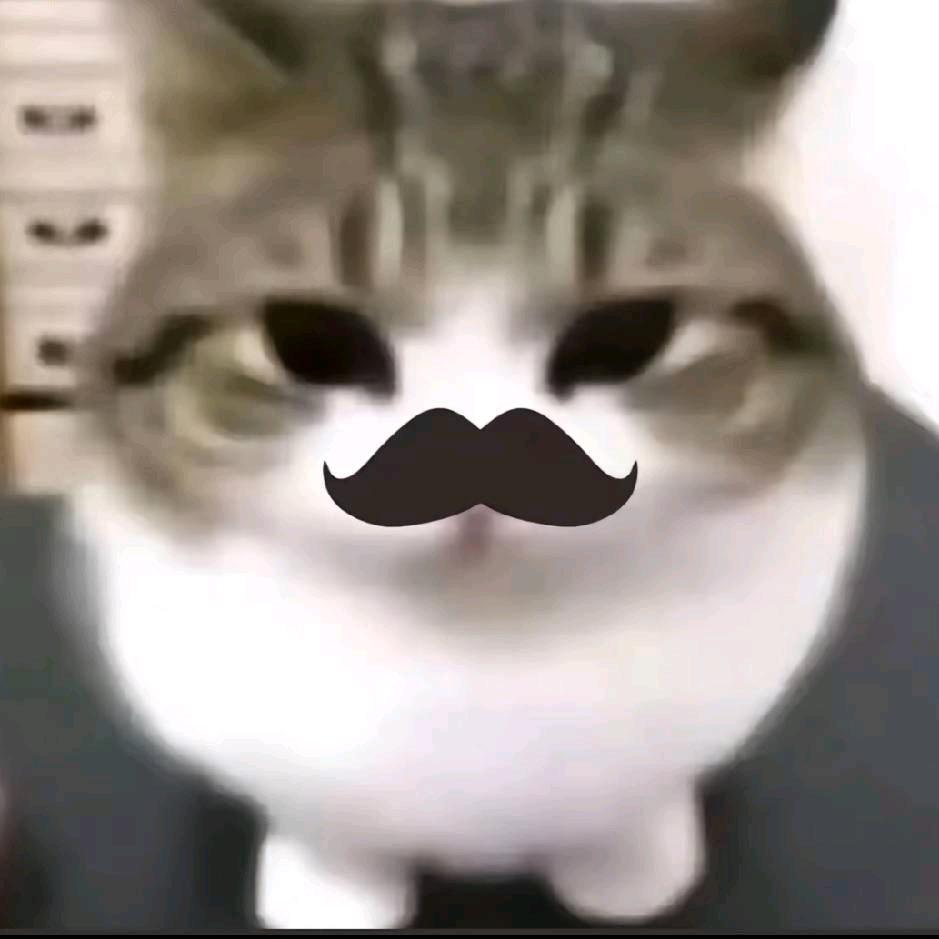 俊南（三角洲行动）