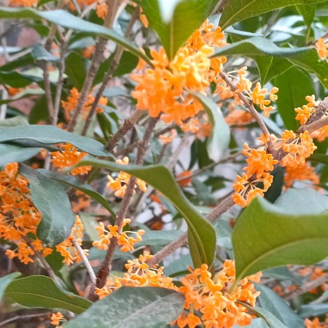 在下个路口等你